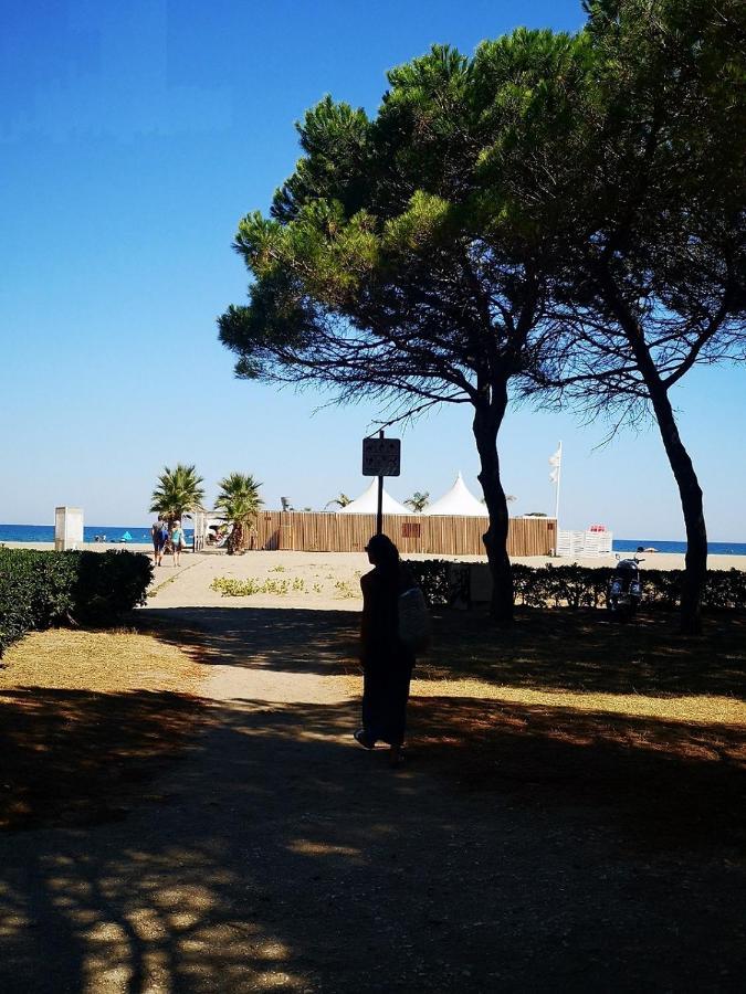 Charmant T2 Terrasse, Bord De Mer アルジェレス・シュル・メール エクステリア 写真